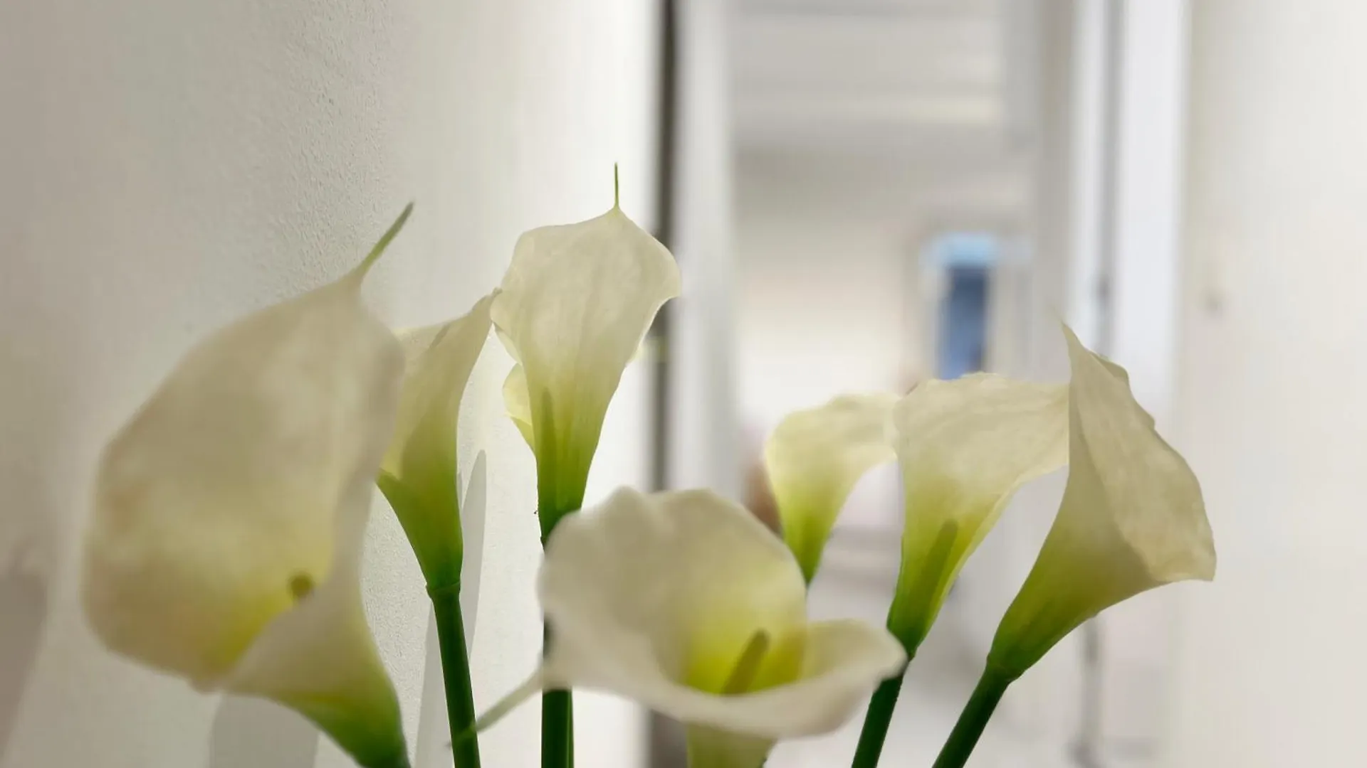 White Apartment バルセロナ スペイン